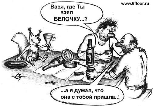 alkashi_belka.jpg