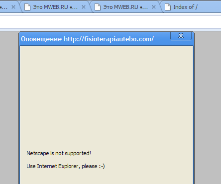 netscape.png